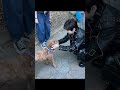 Yoongi and Stoney Blue from the thumbnail of Jhope weverse live 20.05.2026🐕💜