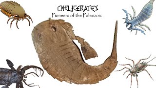 CHELICERATES: Pioneers of the Paleozoic