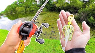 I've NEVER Seen This Many Bass in a POND! (Bank Fishing)