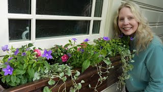 Beautiful Copper Window Box Planting