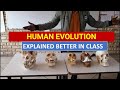 HUMAN EVOLUTION GRADE 12 MADE IT EASY: GRADE 12 LIFE SCIENCES : THUNDEREDUC. BY M.SAIDI