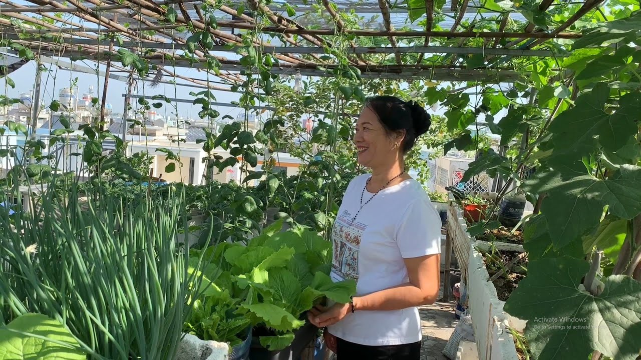 Lạc bước trong khu vườn sân thượng xanh mát mắt của cô Sao TV