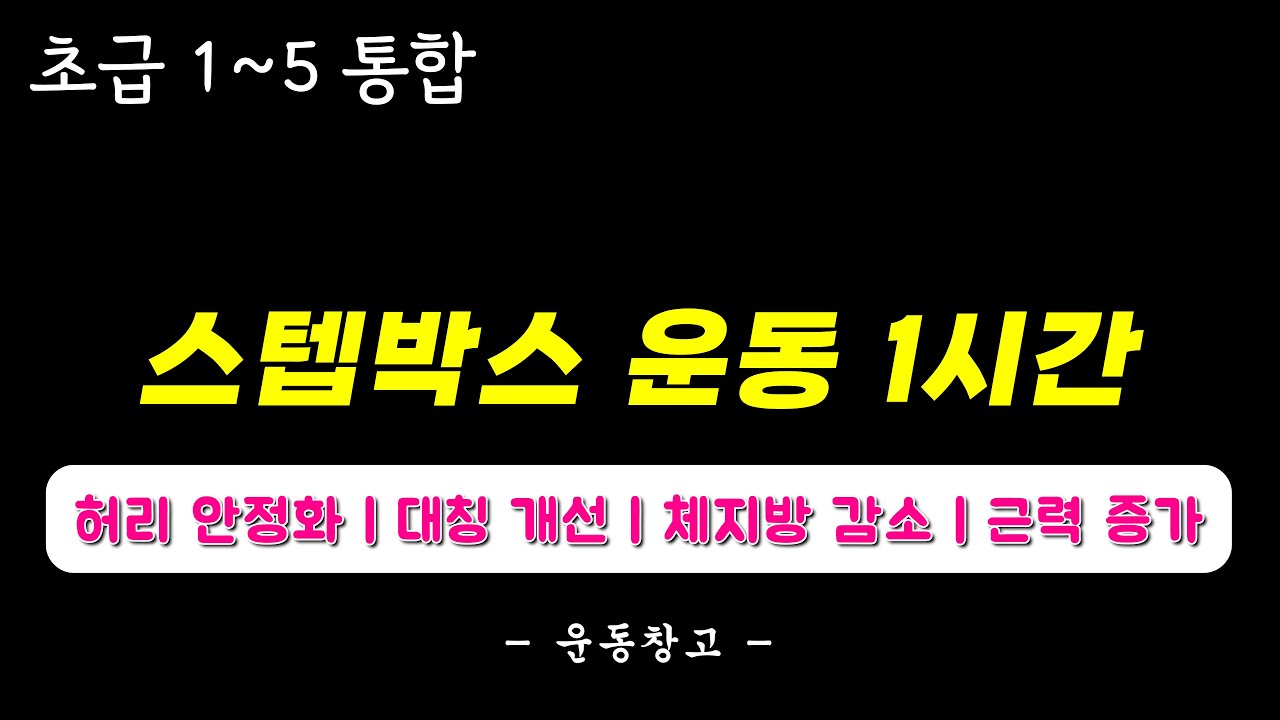 [1~5초급 통합 편] 스텝박스로 다이어트에 성공했다.
