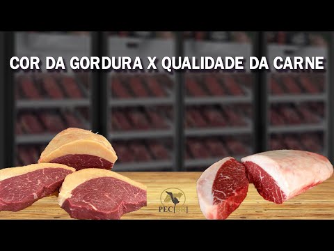 Vídeo: Quanta gordura há na carne bovina alimentada com capim?