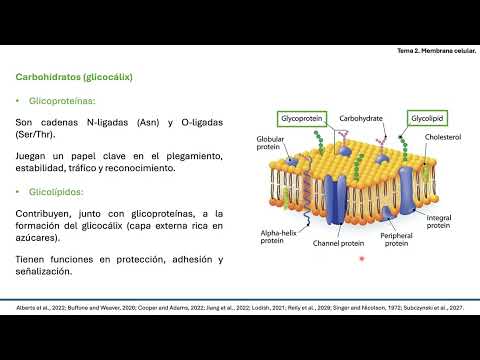 Video2 Tema2