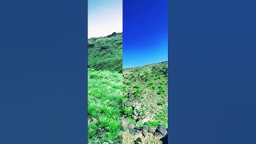 تلاوة رائعة من سورة الشعراء بصوت ساحر للشيخ عبد الله الموسى @مجيدوchanel