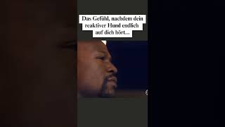 Nichts Anderes Erwartet