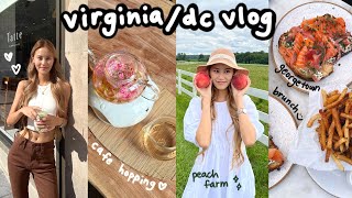 virginia/dc vlog  fishing, maryland peach farm, shopping, dc cafe hopping, georgetown brunch