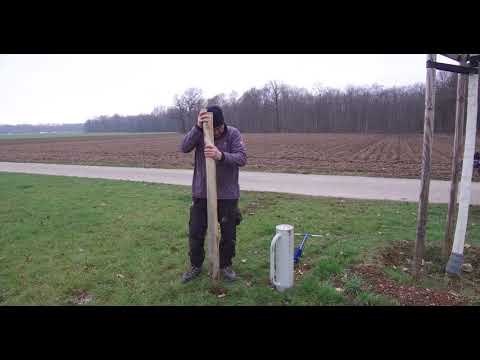 Video: Wie viel kostet es, Pfähle für ein Dock zu rammen?