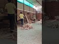 Carpenter work video