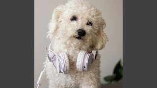 Bark's Joyful Harmony Ambient Music