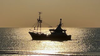 Garnalenkotter Rein Willem Wr212 Voor De Kust Van Katwijk Aan Zee