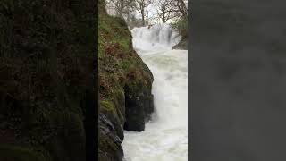 Raw Power #waterfalls #waterfallsounds #waterfall