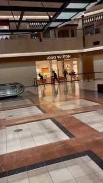 11 Suspects Sought In $100K Handbag Heist At Palo Alto Louis Vuitton Store  