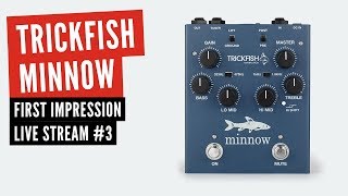 Trickfish Amplification Minnow – FIRST IMPRESSION #3