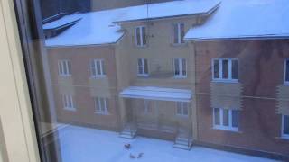 картинка: Новая квартира студия в ЖК 