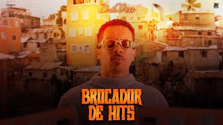 Zé da Vea - Brocador de Hits ( Lançamento de São João 2024 )