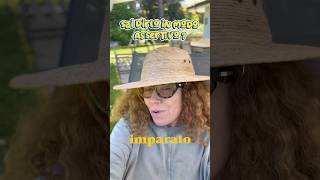 Hai imparato a comunicare in modo assertivo ?