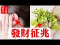 【風水】身邊出現這些征兆，年底能發大財！快看看你有沒有#大佬你好啊