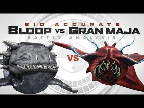 Bio Accurate Bloop vs Gran Maja | Battle Faceoff Analysis