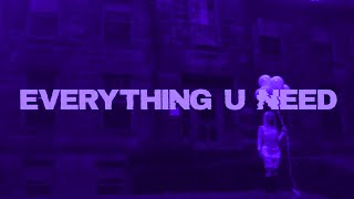 Zorza - Everything U Need x Ecco2k & bladee - Amygdala Wealth