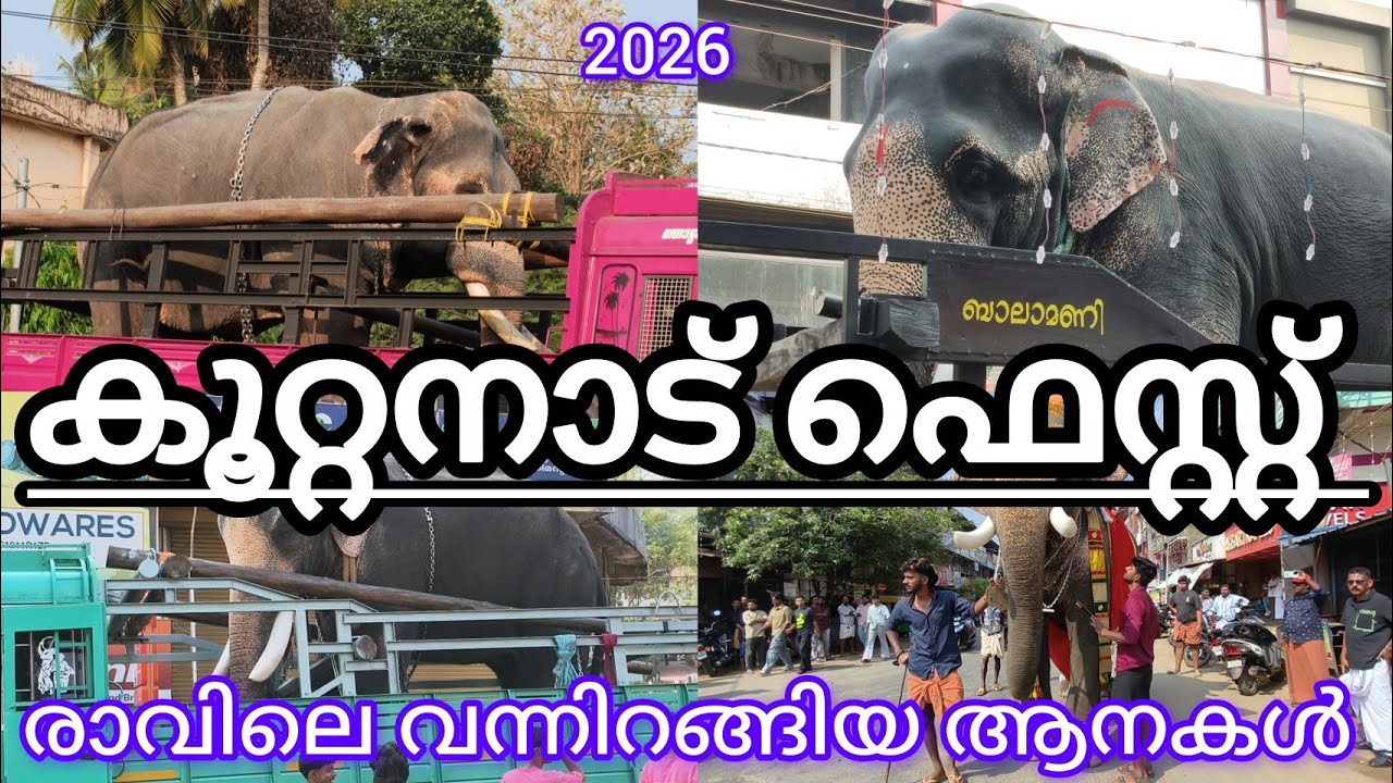 കൂറ്റനാട് ഫസ്റ്റ് 2026 രാവിലെ വന്നിറങ്ങിയ ആളുകളുടെ കാഴ്ചകളാണ് ഈ വീഡിയോ#koottanadfest2026