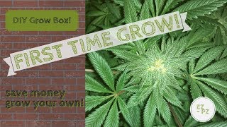 WARNING THIS CONENT IS FOR 18+ AUDIENCES, AND FOR MEDICAL MARIJUANA USE*** SAVE MONEY GROW YOUR OWN 