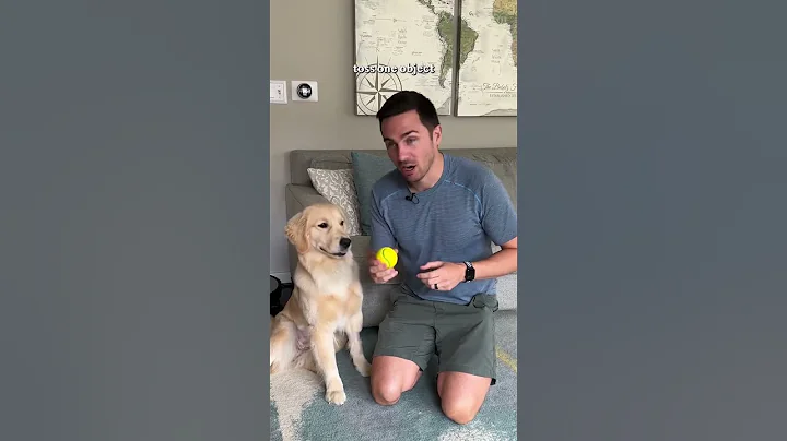 The 5 steps to teach your dog fetch!