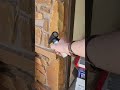 Using a tiny leafblower on termites
