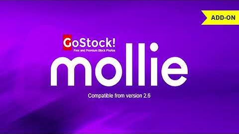 Mollie Payment Gateway for GoStock | Codecanyon Scripts and Snippets