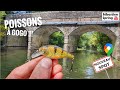 Jexplore une petite rivire trs sauvage et poissonneuse  brochets  vue 