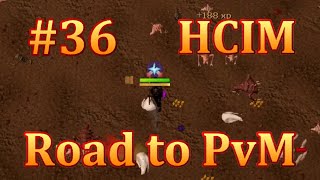 RS3 HCIM Road to PvM #36 - How to Grind Farming