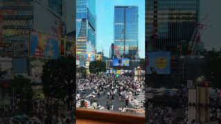 Shibuya Timelapse #shibuya #shibuyascramblesquare #shibuyacrossing #shibuyatokyo #tokyo