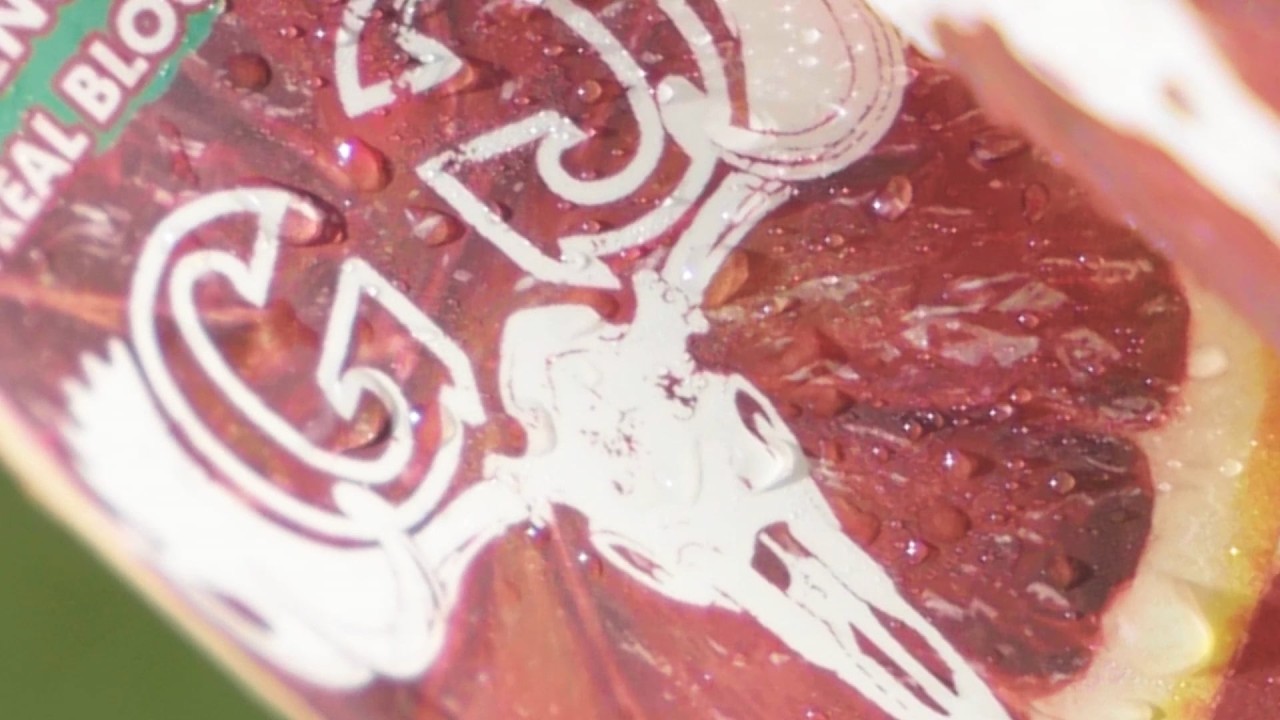 Greater Good Brewery: Blood Orange Pulp Daddy