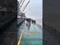 Transhipment #batubara #kapal #kapallaut #kapalkargo #bulkcarrier #vessel #tahukahkamu #kenapa