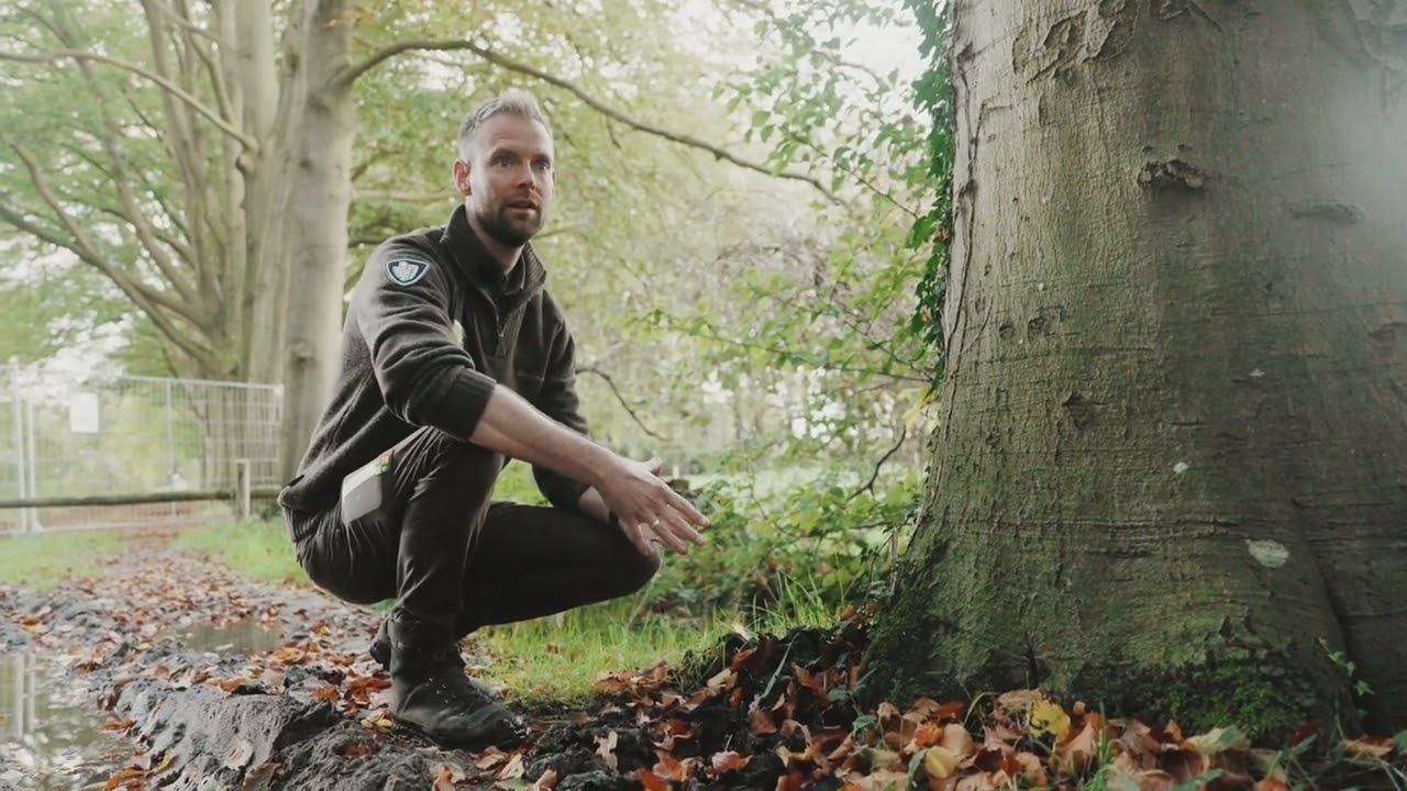 Onderhoud op landgoed Soeslo | Landschap Overijssel