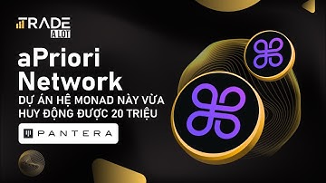 Dự án hệ Monad này vừa huy động được 20 triệu USD từ Pantera Capital