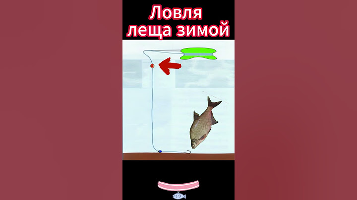 Ловля леща зимой на поплавочную удочку