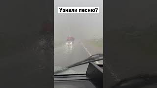 Небольшой ливень застал меня сегодня… #кебухов #газель #дождь