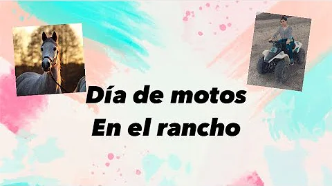 Da de motos  / Irene barba