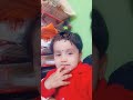 baby insect