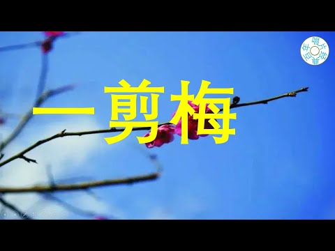 一剪梅 费玉清