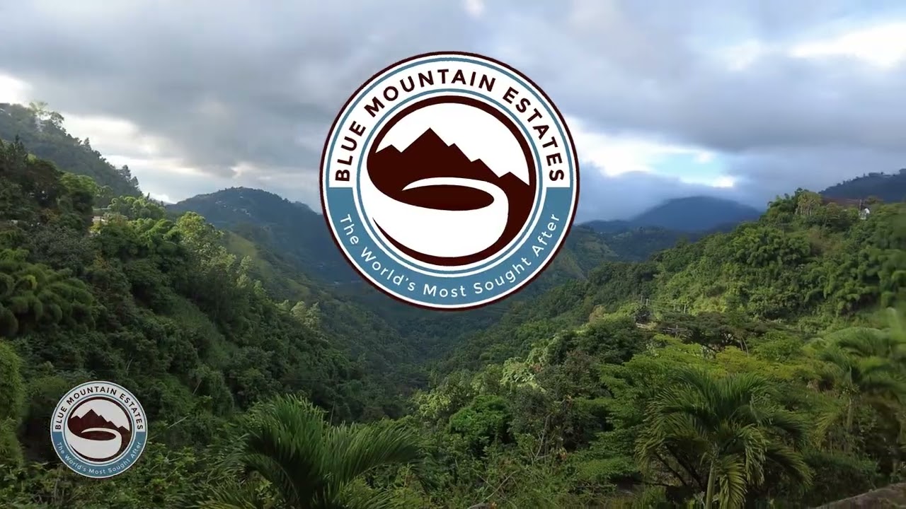 Americas Next Investment Featuring Blue Mountain Estates Coffee (60-sec commercial)