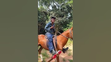 Peller gus happy weekend🤣🥰 #jarvis #peller #funny #comedy #davido #dance