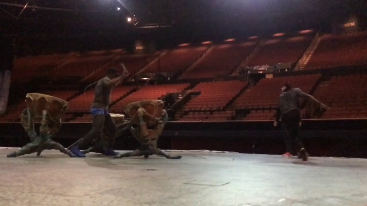 Guinée Acrobat 2017 