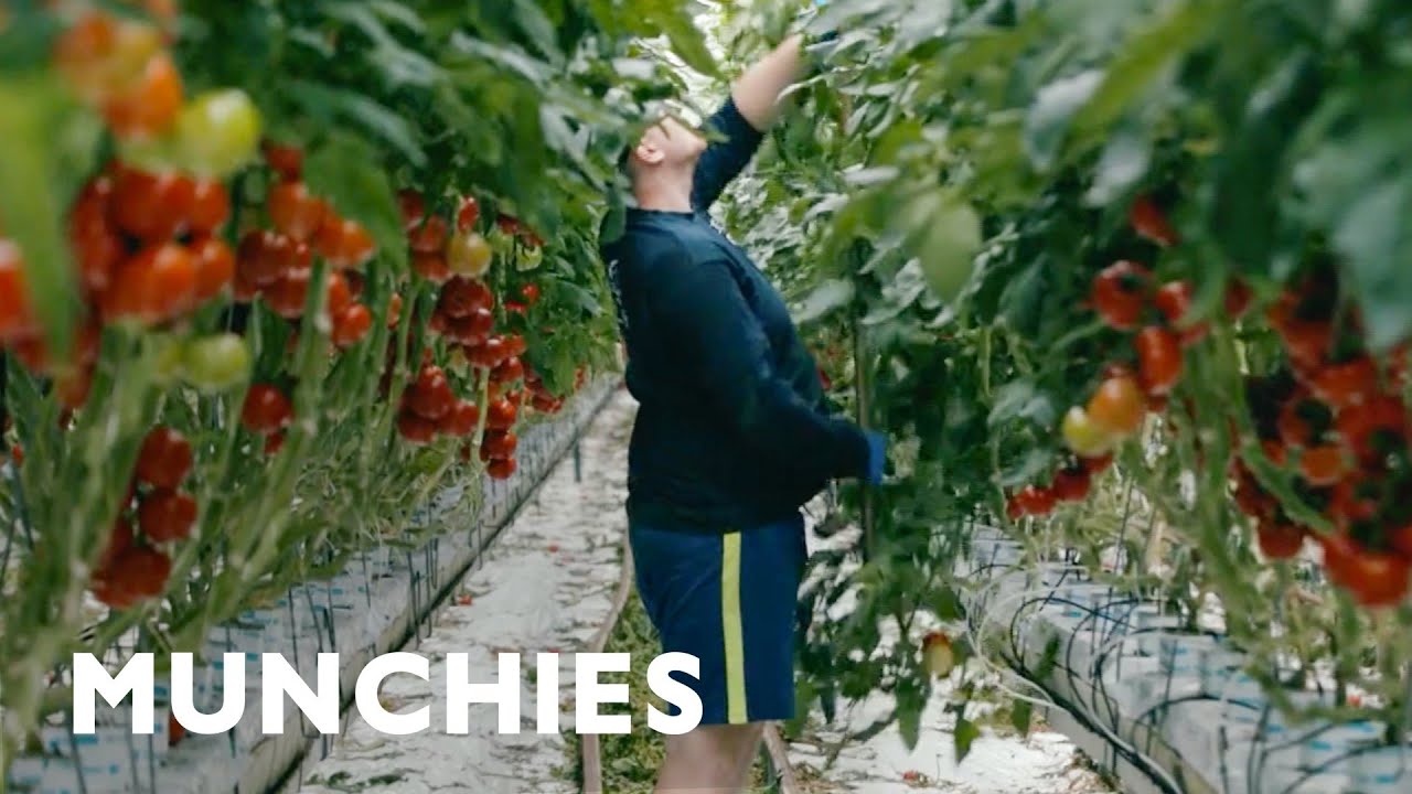 The Unconventional Farms of the Future | Counter Space (Clip) | Munchies