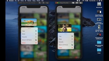 CollectionView ContextMenu