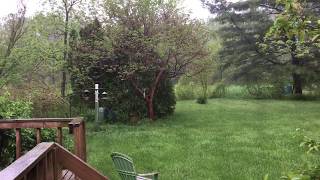 1 minute rain meditation