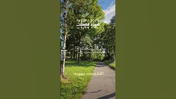 من سورة فصلت ، القارئ محمد ديبيروف