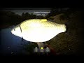 р.Ахтуба #ахтуба #трофей #pp4 #russianfishing4 #буффало